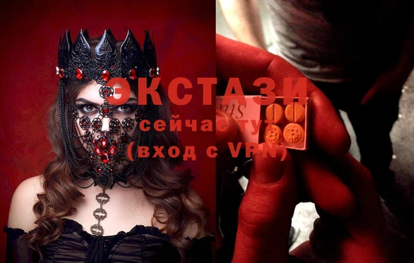 стаф Алзамай