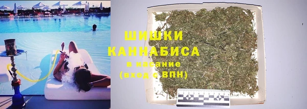 стаф Алзамай